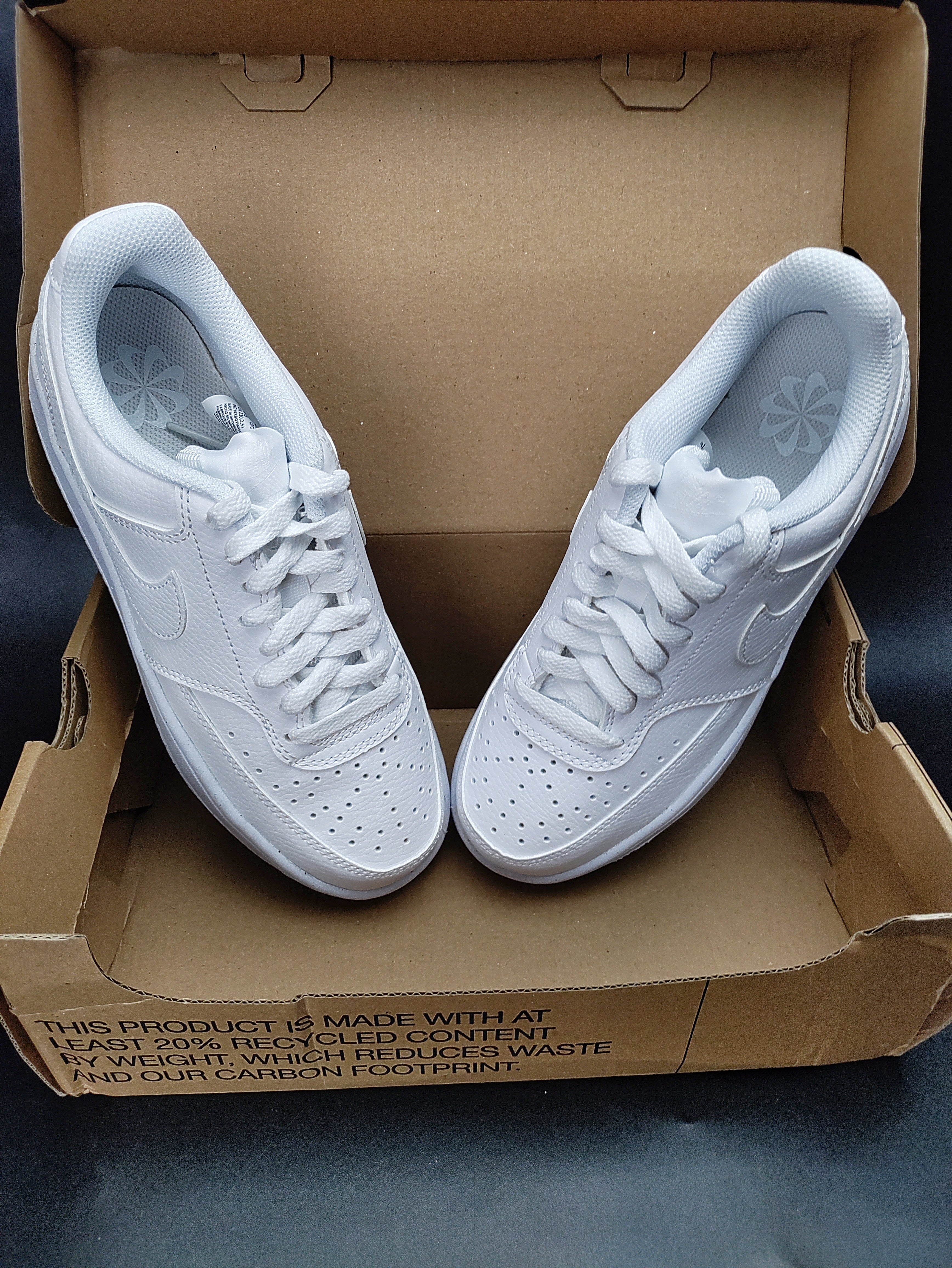 Nike Court Vision Low Next Nature ’Triple White' (W)