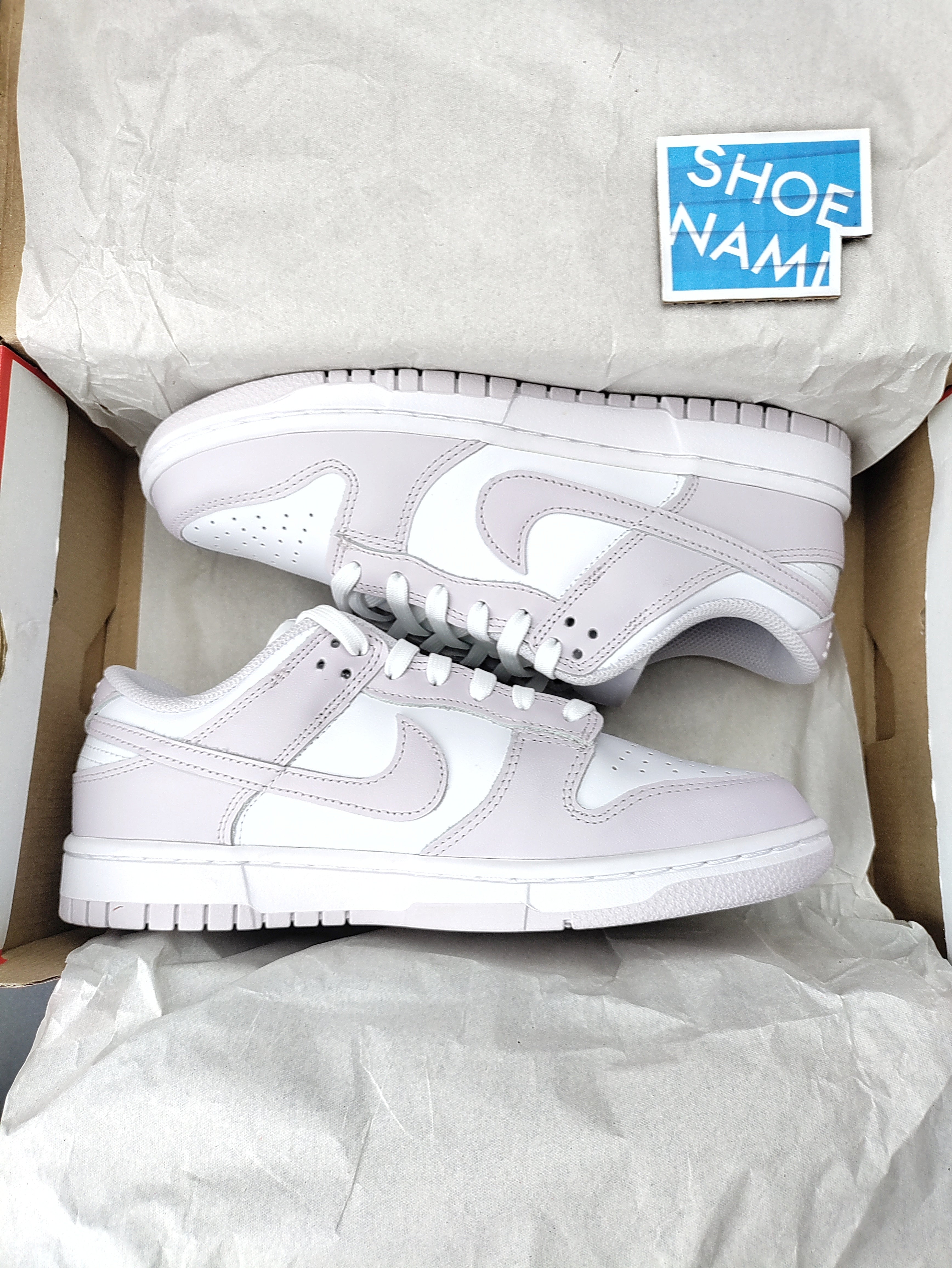 Nike Dunk Low 'Venice'