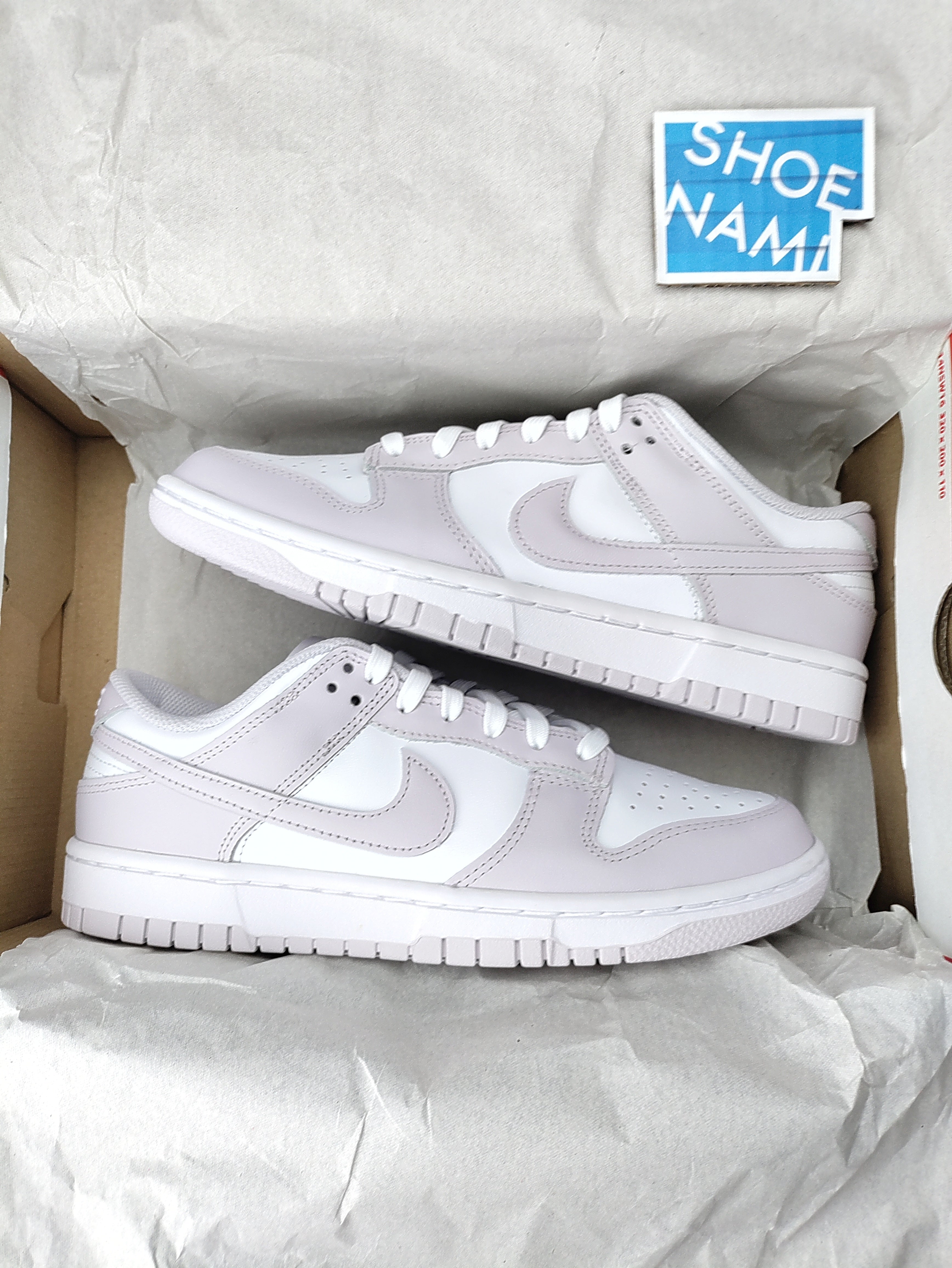 Nike Dunk Low 'Venice'