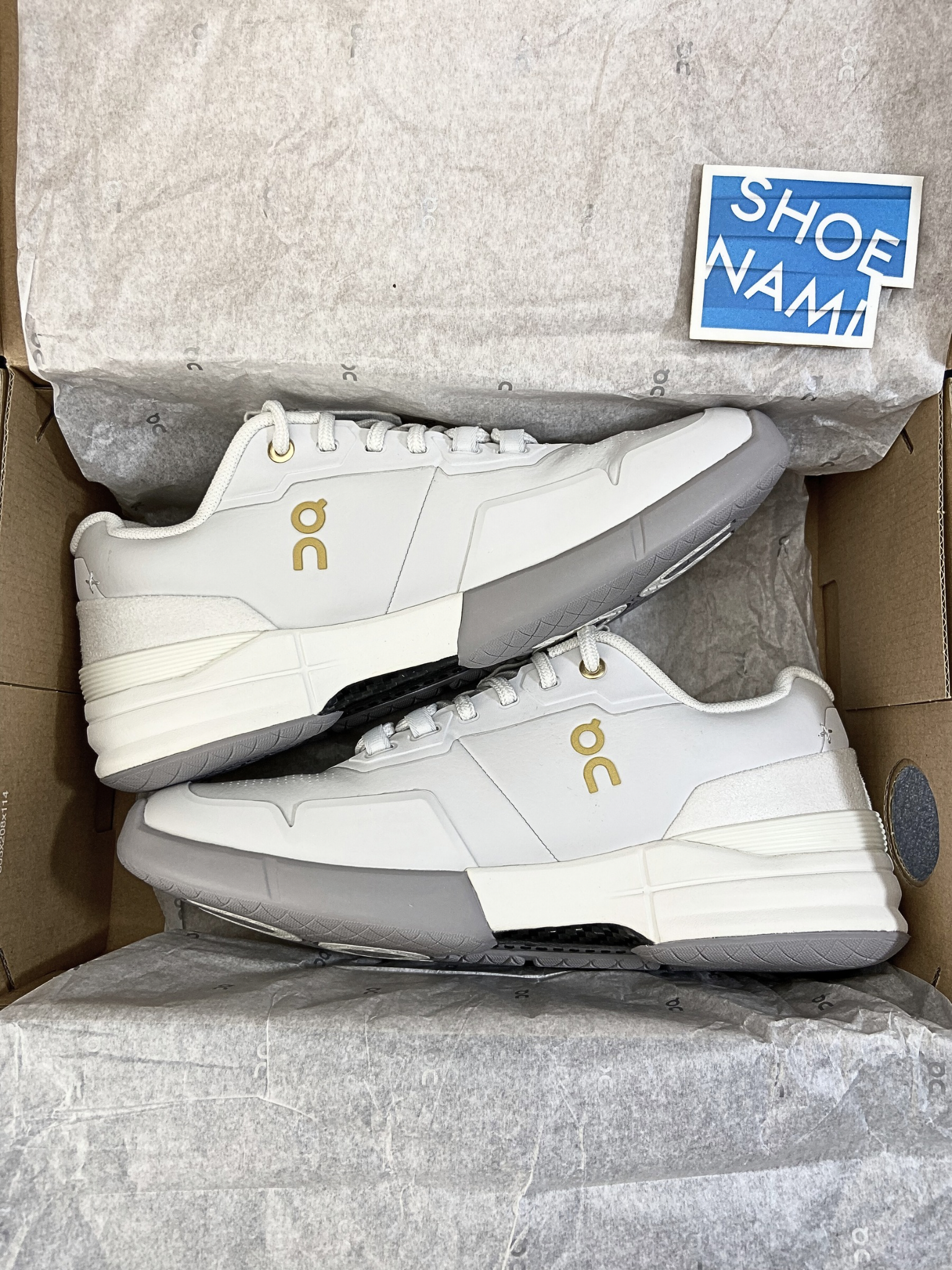 On THE ROGER Pro Ace 'Frost Ore' (W)