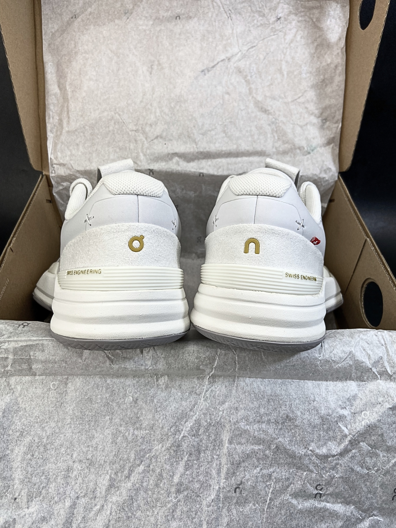 On THE ROGER Pro Ace 'Frost Ore' (W)